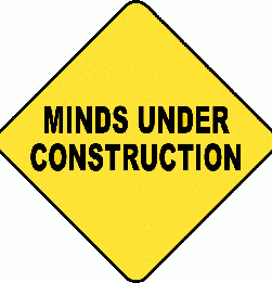 Minds under construction