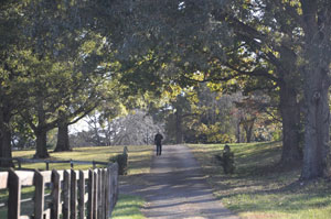 Driveway Photo