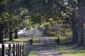 Driveway Photo Retouched