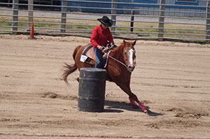 horse and rider